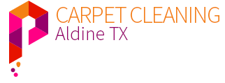carpetcleaningaldine.com